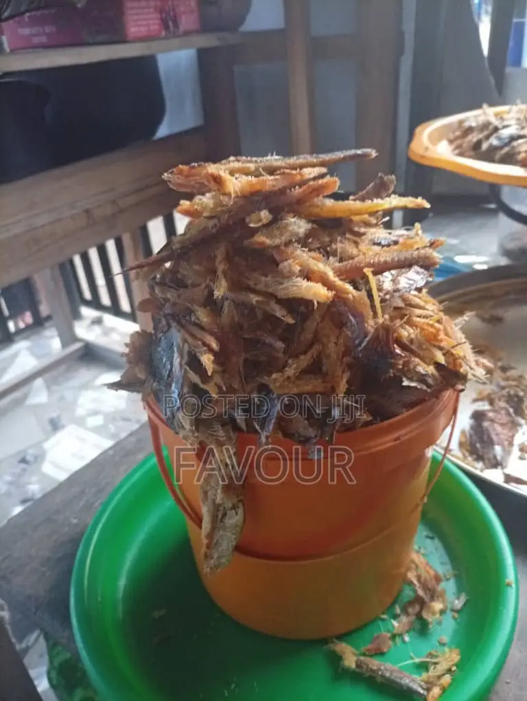 Deboned Bonga Fish a Painter So Tasty