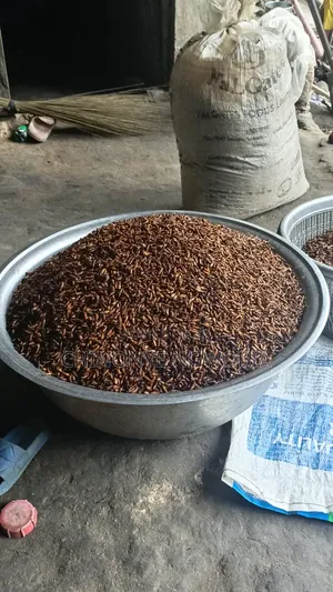 Edible Termite (Aku, Esusu, Shinge, Chinge)