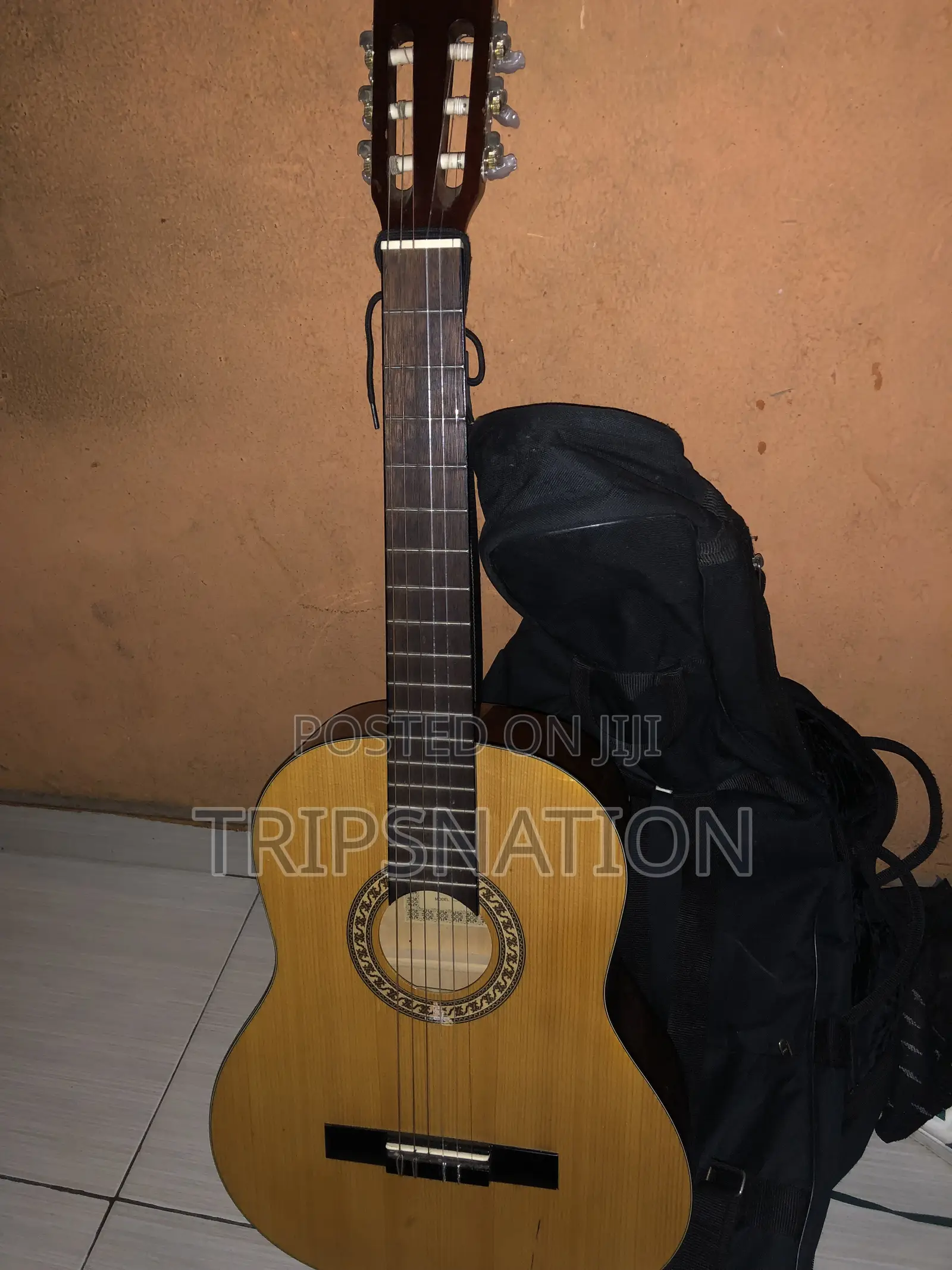 Acoustic Guitar