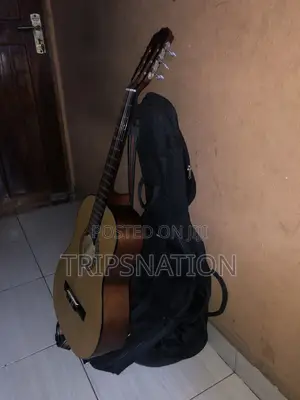 Acoustic Guitar