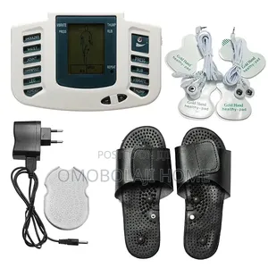 Electronic Pulse Massager
