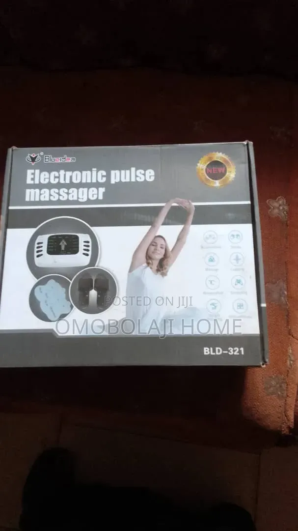 Electronic Pulse Massager