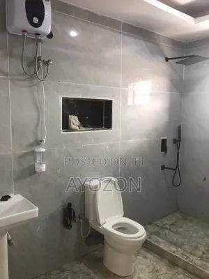 Plumbing Work
