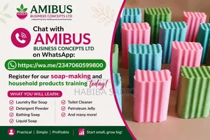 Amibus Premium Laundry Bar Soap