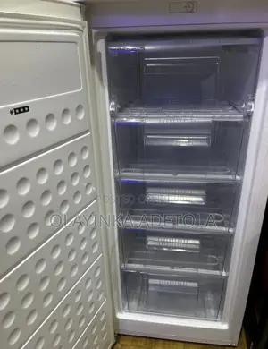 5 Drawer Standing Freezer