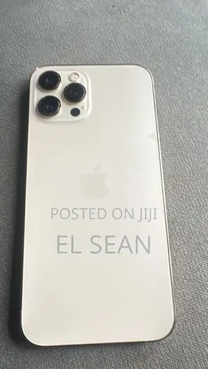 Apple iPhone 12 Pro Max 128 GB Silver