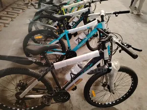 Unisex Bicycles
