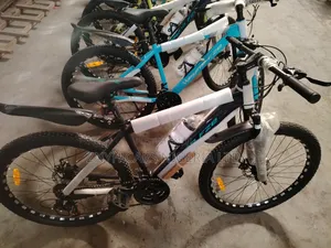 Unisex Bicycles