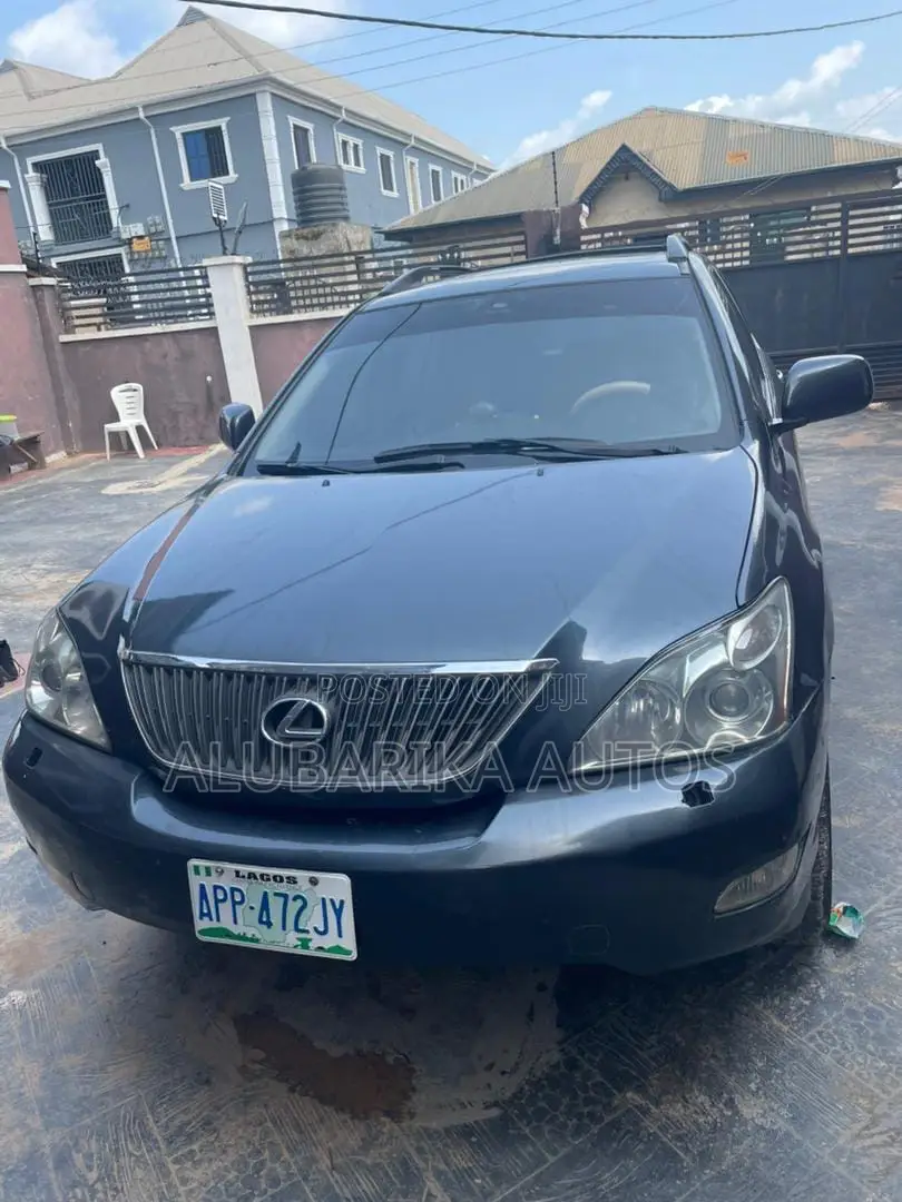 Lexus RX 2009 Gray