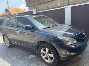 Lexus RX 2009 Gray