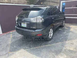 Lexus RX 2009 Gray