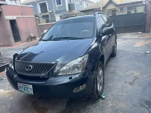 Lexus RX 2009 Gray