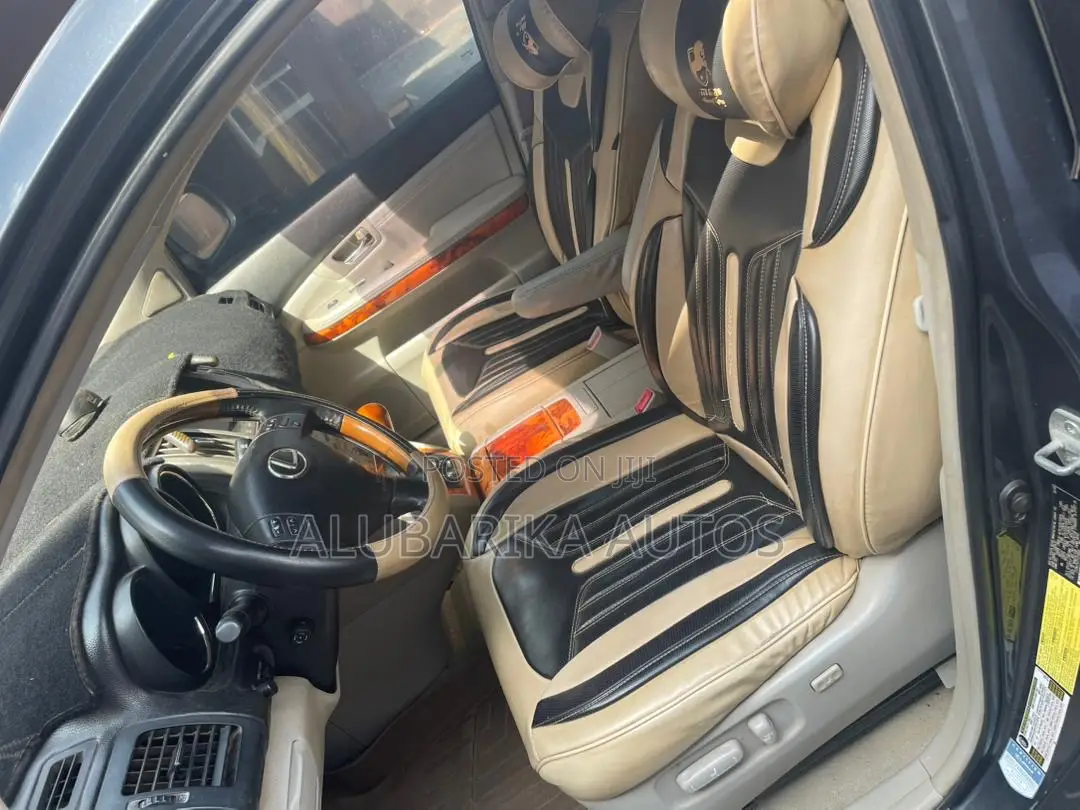 Lexus RX 2009 Gray