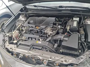 Toyota Camry 2019 Gray