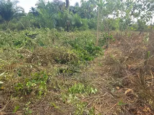 Dry Land in Epe Lagos