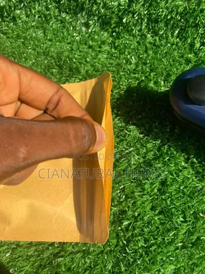 Sealing Machine (Hand-held)