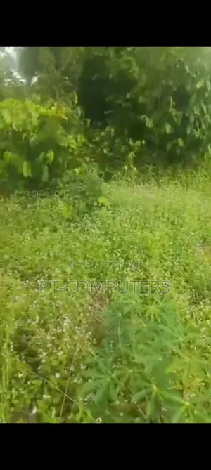 Plot Of Land