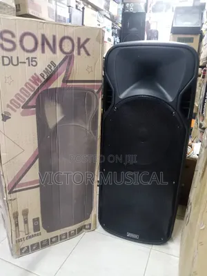 Sonok Double 15" Pa System