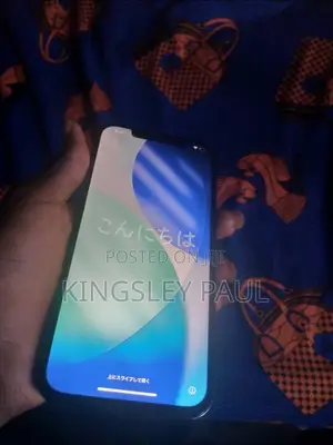 Apple iPhone 12 Pro Max 256 GB Blue