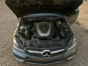 Mercedes-Benz C300 2009 Gray