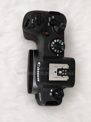 Canon R8 Camera Body for Rent