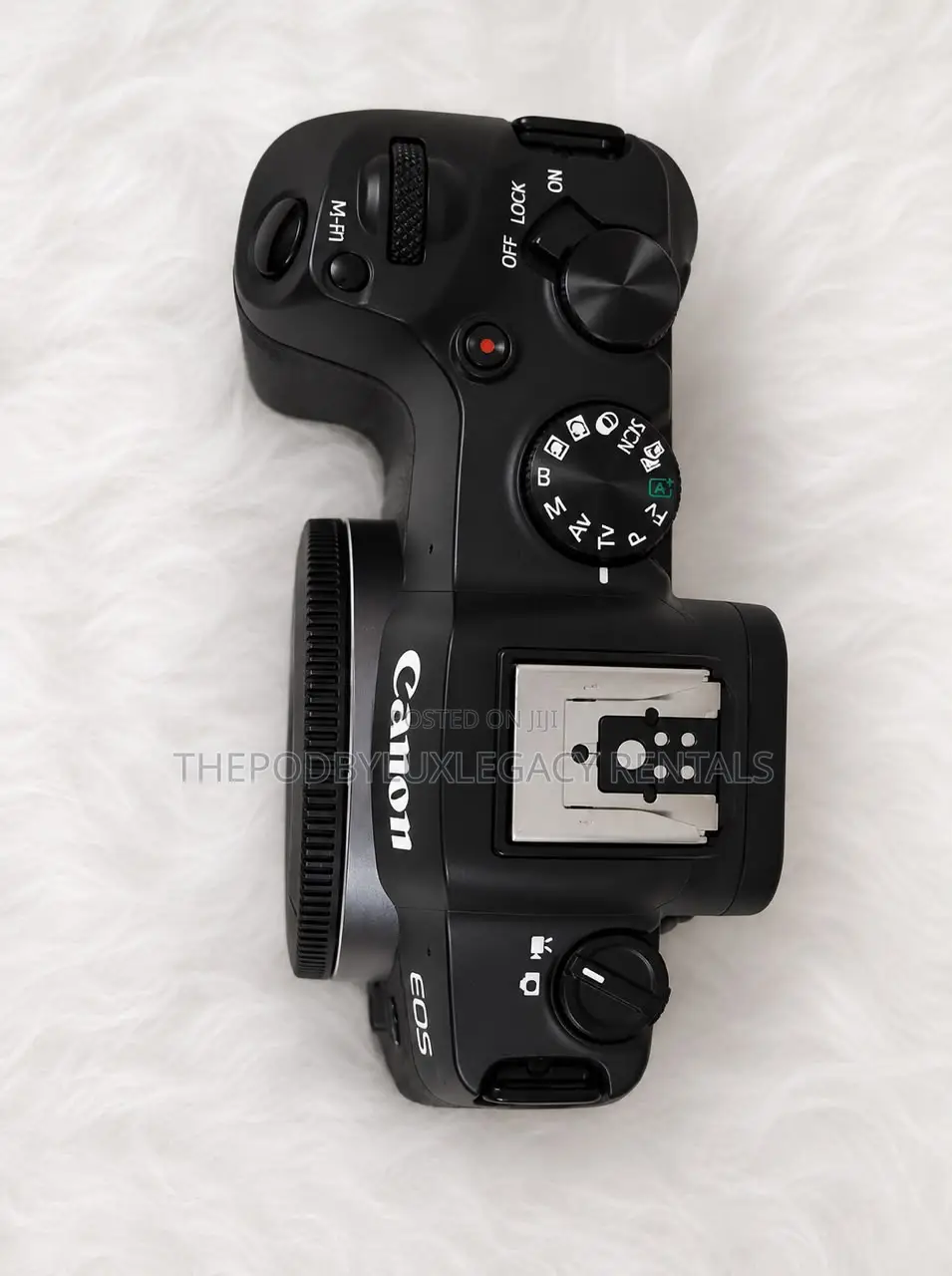 Canon R8 Camera Body for Rent