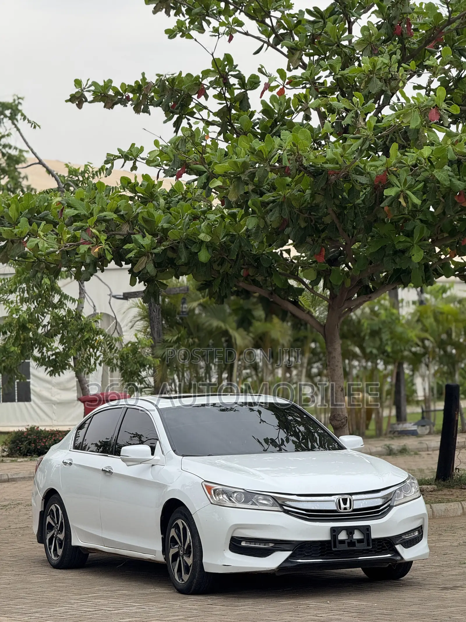 Honda Accord 2017 White