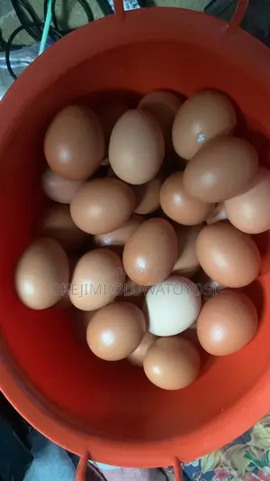 Crate of Egg