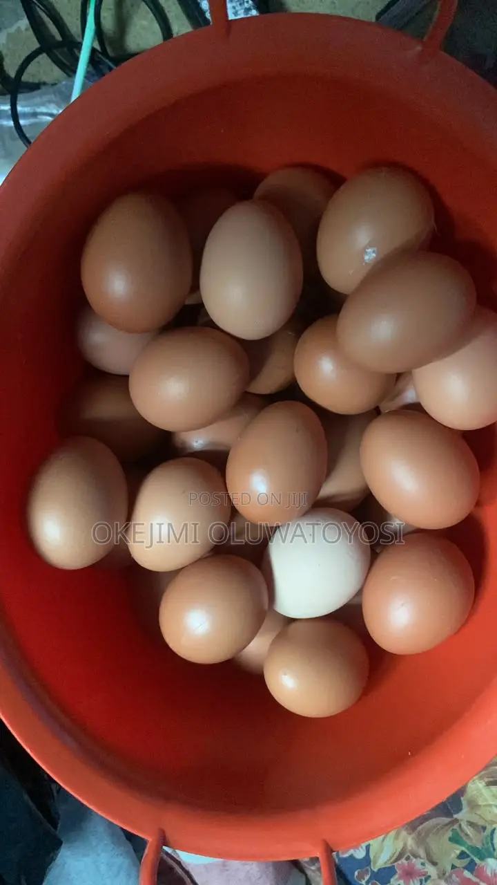Crate of Egg
