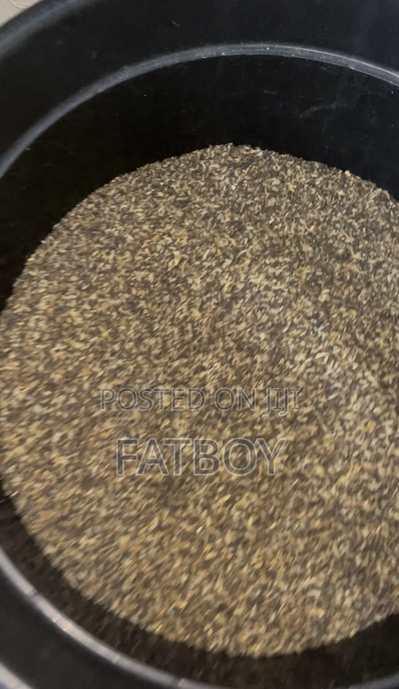 Clean Dog Rice
