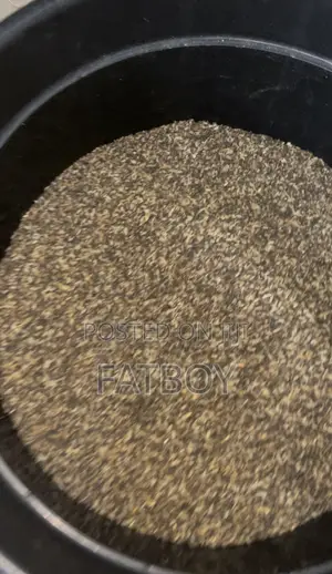 Clean Dog Rice