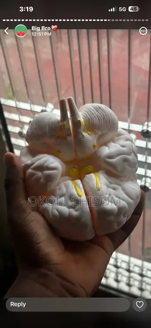 Human Brain