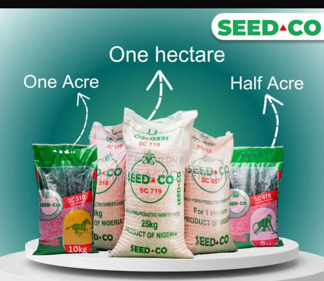 Hybrid Maize Premier and Seed.Co