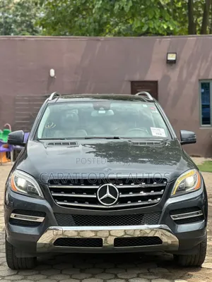 Mercedes-Benz M Class 2014 Gray