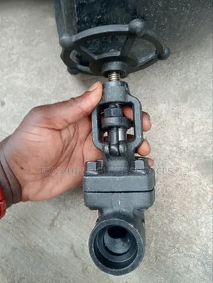1"X800 Sw Globe Valve