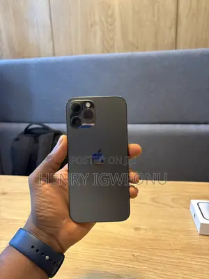 Apple iPhone 12 Pro Max 128 GB Gray