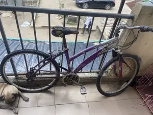 Bicycle / Bike