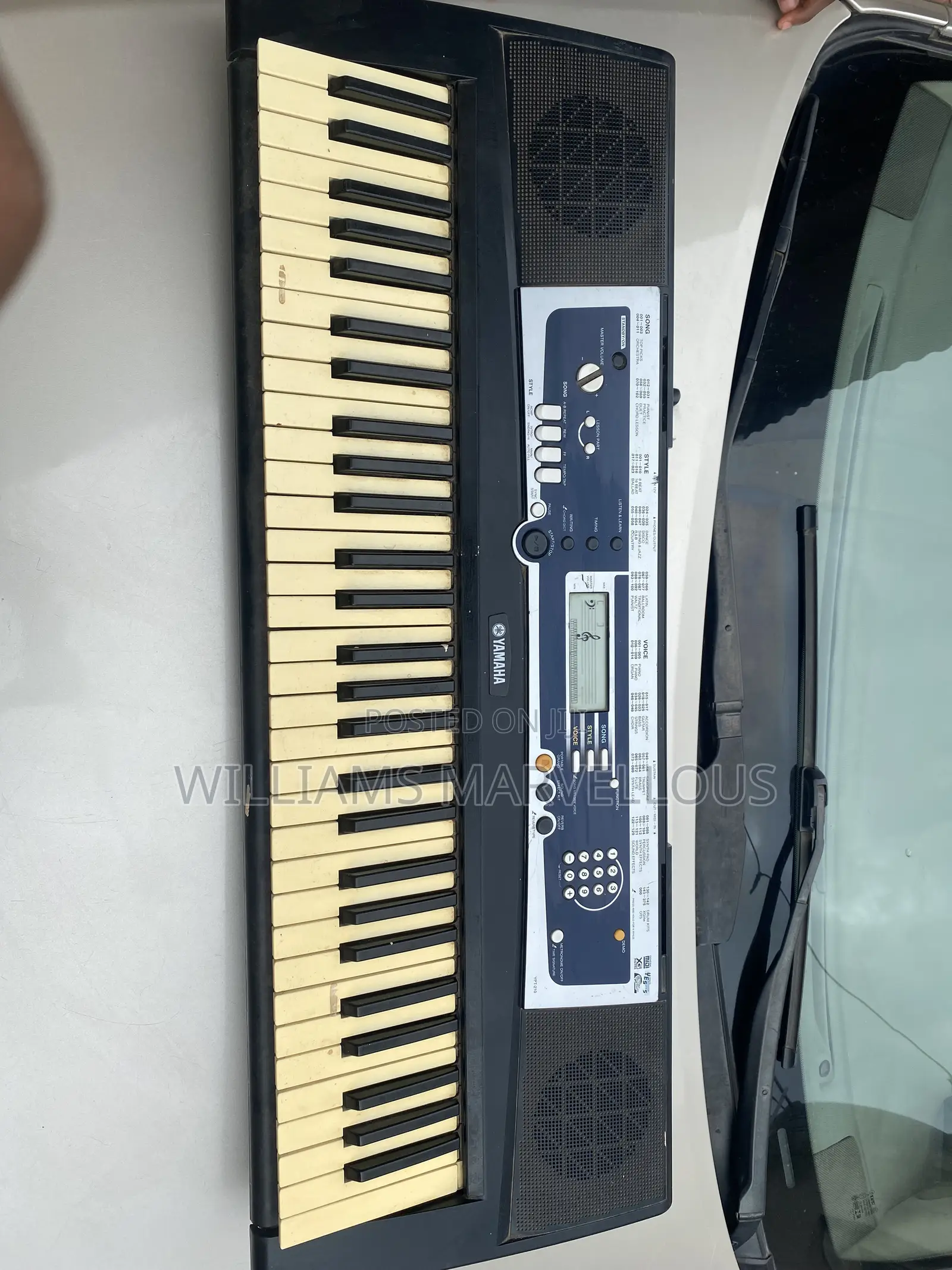 Yamaha Ypt-210
