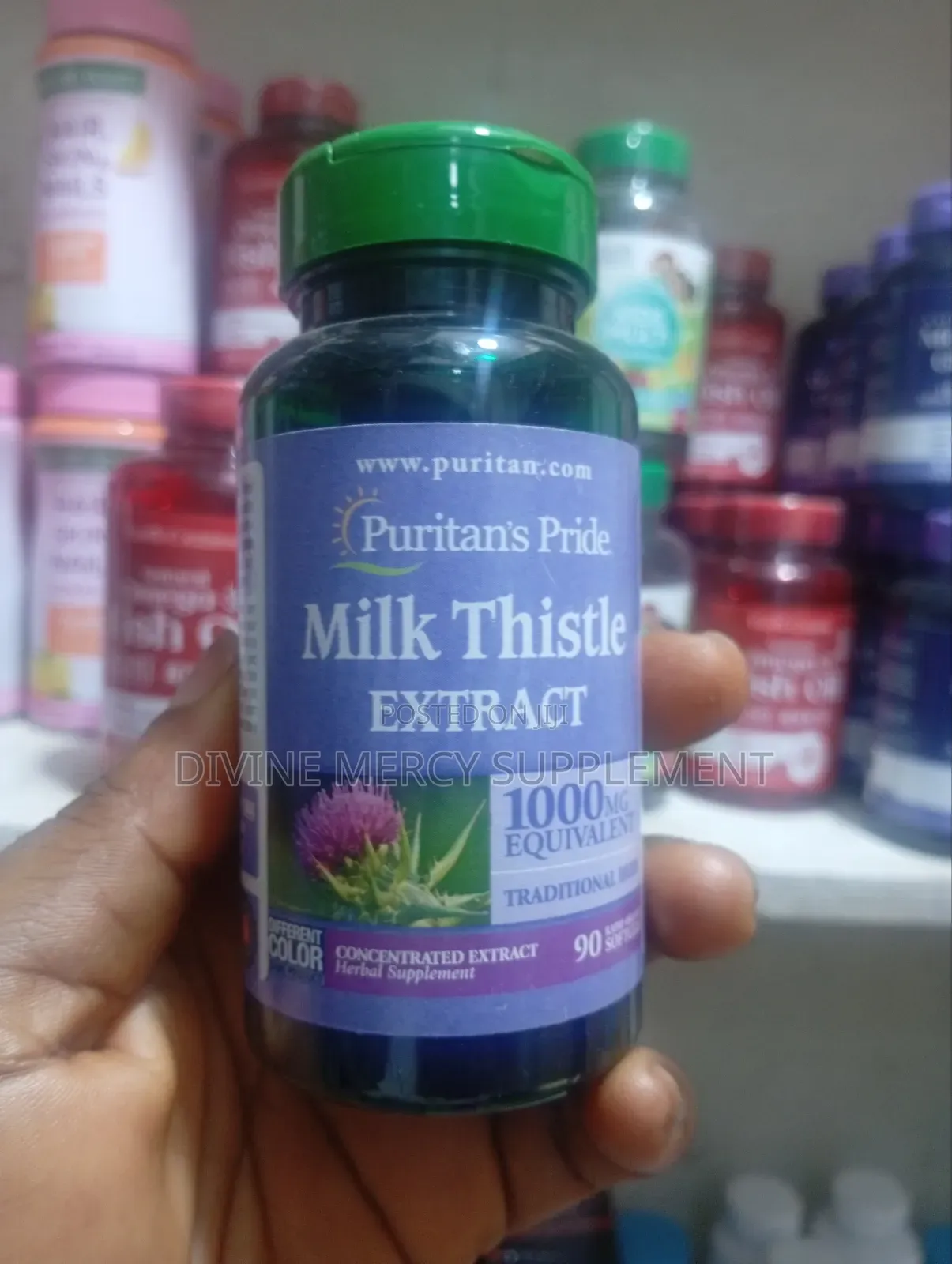 Milk Thistle Extract