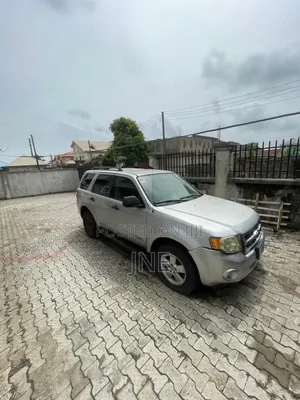 Ford Escape 2013 Silver