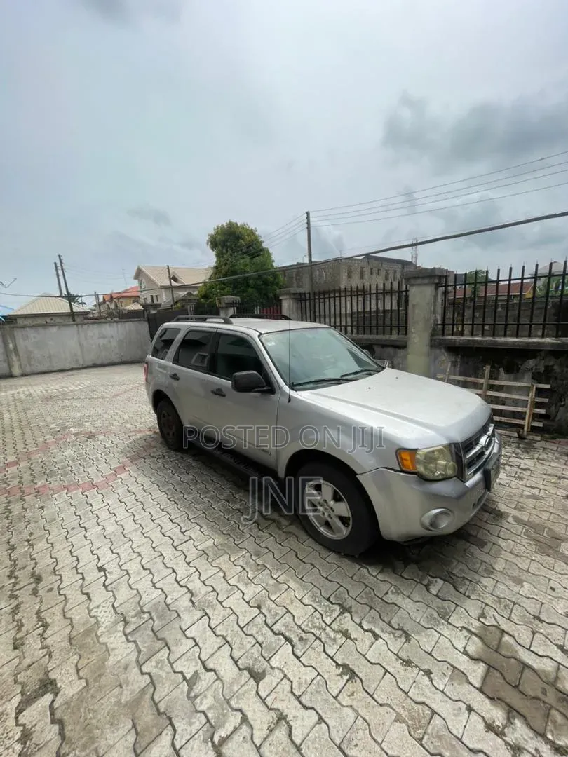 Ford Escape 2013 Silver