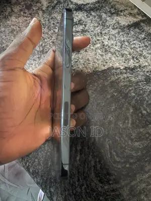 Apple iPhone 12 Pro Max 256 GB Blue