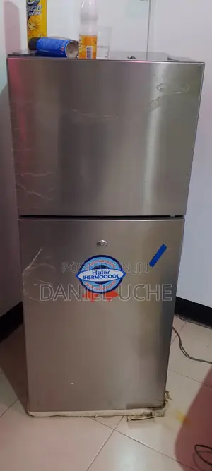 Hier Thermocool Double Door Standing Refrigerator