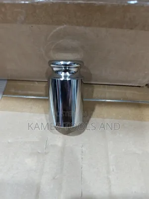 500g Stainless Test Weight