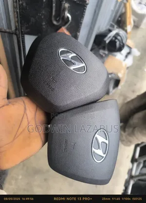 Hyundai Santa Fe Air Bank Cover 2017