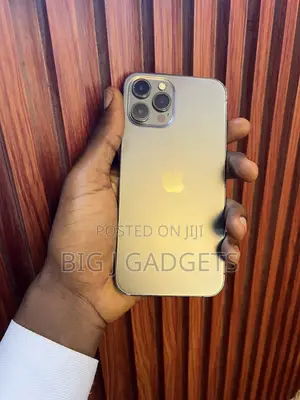 Apple iPhone 12 Pro Max 256 GB Gray