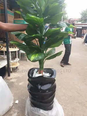 Monstera Plant and Wavy Vase