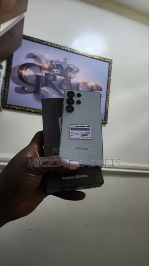 Samsung Galaxy S25 Ultra 256 GB Gray