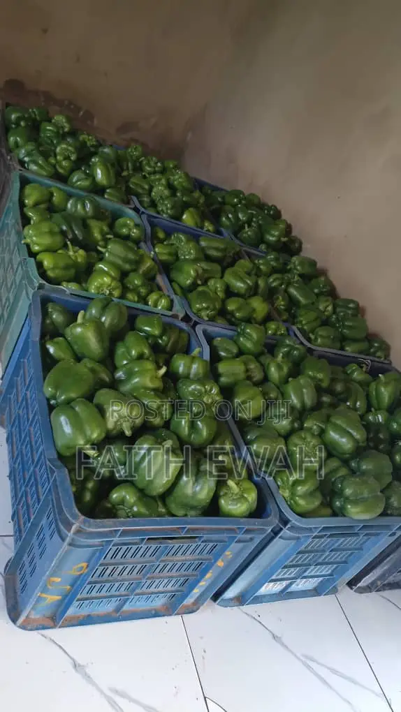 Bell Pepper