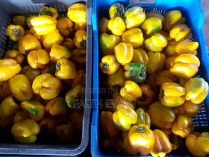Bell Pepper
